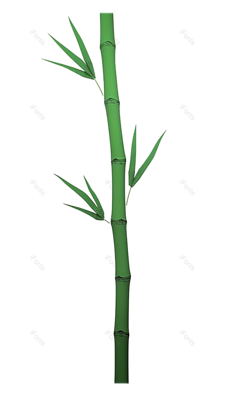 复古图片,插画元素,竹子PNG,简单免抠素材